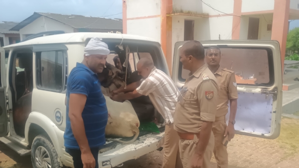स्कांर्पियो की तलाशी लेती पुलिस।