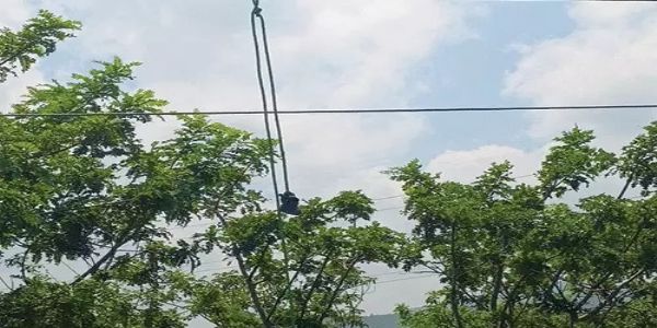 उदयपुर में हाईटेंशन लाइन चुराने का प्रयास करते दो युवक झुलसे, मौत