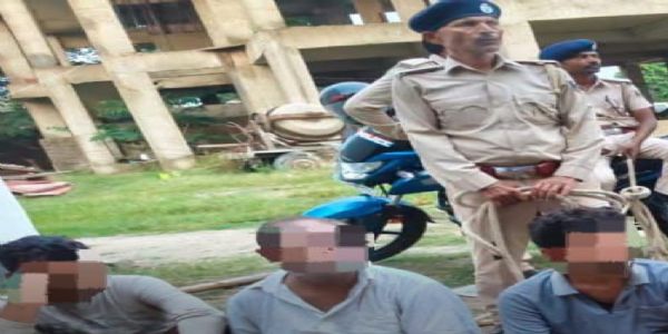 पतौर थाना पुलिस ने बड़ी चोरी का किया खुलासा, 7 अपराधी गिरफ्तार