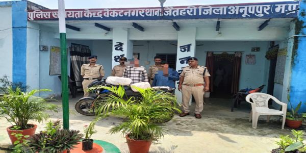 अनूपपुर: सडक किनारे गांजा बेचते दो तस्कर गिरफ्तार, 12 किलो जप्त