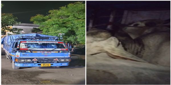 गौरीपुर में चोरी का 12-चक्का ट्रक बरामद, दो गिरफ्तार