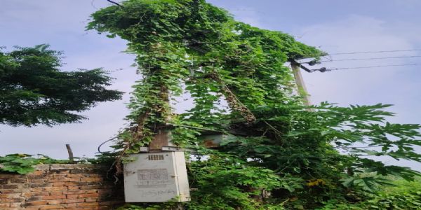 पांच साल से ठप ट्रांसफार्मर, अब एक माह में रोशन हाेगी यादव बस्ती