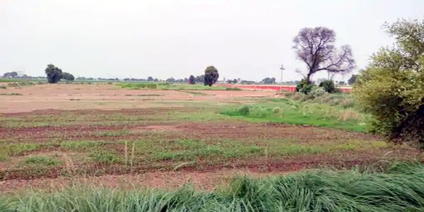 टोहाना में ही बनेगा मेडिकल कॉलेज, भूमि पूजन जल्द: बबली