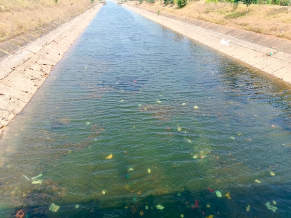 रूद्री से निकली नहर से बहता पानी।