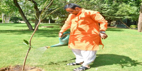 मुख्यमंत्री भजनलाल शर्मा ने पौधारोपण कर दिया पर्यावरण संरक्षण का संदेश
