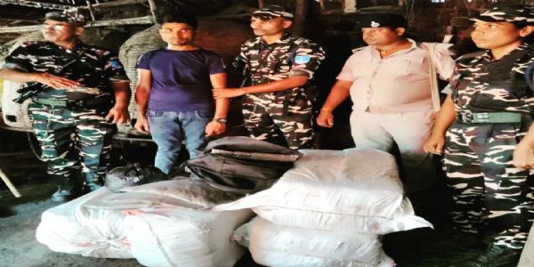 घुरना पुलिस और एसएसबी के संयुक्त अभियान में 118 किलो तस्करी का गांजा जब्त,एक गिरफ्तार