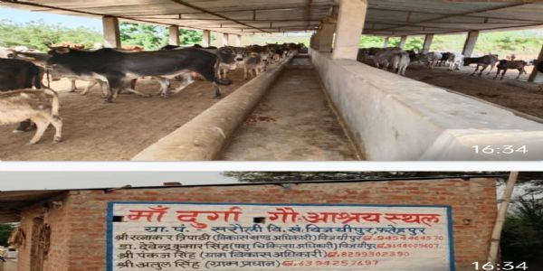 गौशाला से गौतस्करी के मामले में सचिव निलंबित