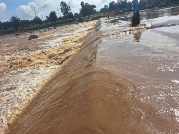 लगातार हाे रही बारिश से कन्हर नदी उफान पर