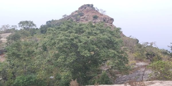 कुल और कोख की रक्षा करती है मां कौलेश्वरी, देश-विदेश से आते हैं श्रद्धालु