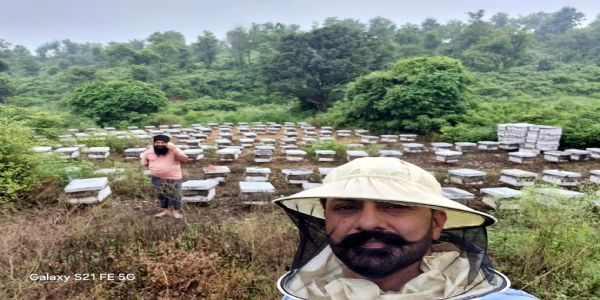 फतेहाबाद : गांव चिलेवाल के कुलबीर सिंह ने शहद उत्पादन में रची सफलता की गाथा