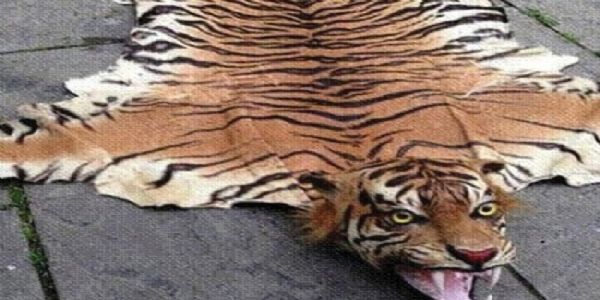 प्रतीकात्मक तस्वीर