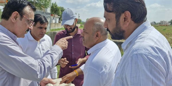 नारनौलः उपायुक्त ने किया फसल गिरदावरी का औचक निरीक्षण