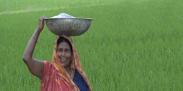 बिहार में बीते 19 वर्षों में खाद्यान्न उत्पादन में हुई 192 प्रतिशत से अधिक की वृद्धि