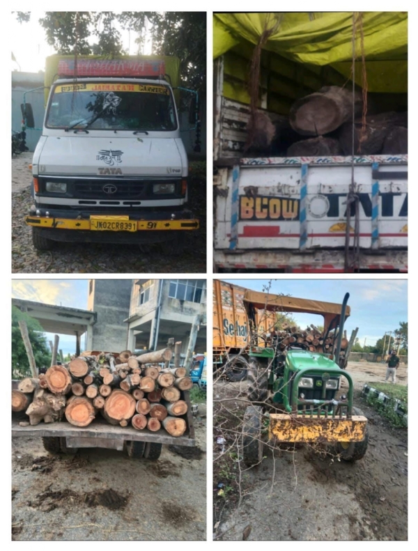 Kathua police seized 2 vehicles loaded with illegal wood