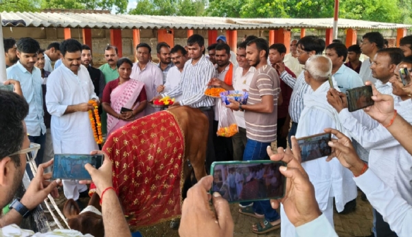 कन्नौज। मंत्री ने अनौगी गोवंश आश्रय स्थल जाकर गायो को खिलाया गुड़ चना