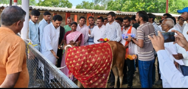 कन्नौज। मंत्री ने अनौगी गोवंश आश्रय स्थल जाकर गायो को खिलाया गुड़ चना