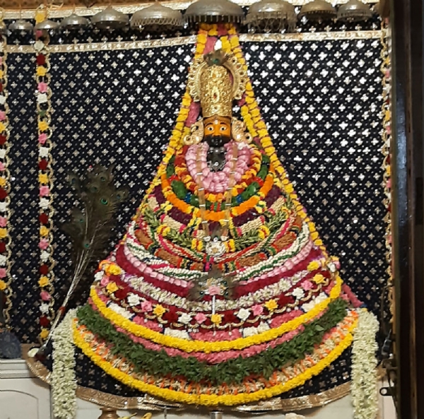 दिल्ली से आए मेवों व पुष्पों से सजा बीकानेर का खाटू श्याम मंदिर, भक्ति से सराबोर हुआ माहौल