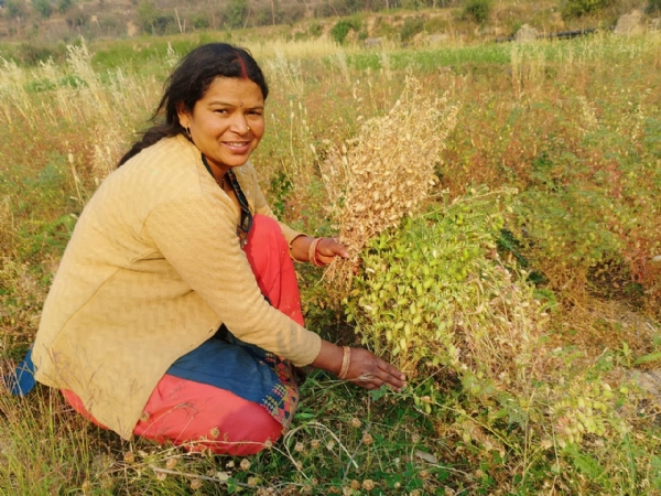 कठिन परिश्रम से कृषि कार्य करती रेशमा देवी