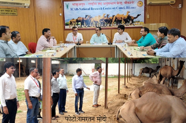 उष्ट्र केवल शोध का विषय नहीं, बल्कि हमारे प्रदेश की सांस्‍कृतिक धरोहर : डॉ. अनिल कुमार पूनिया