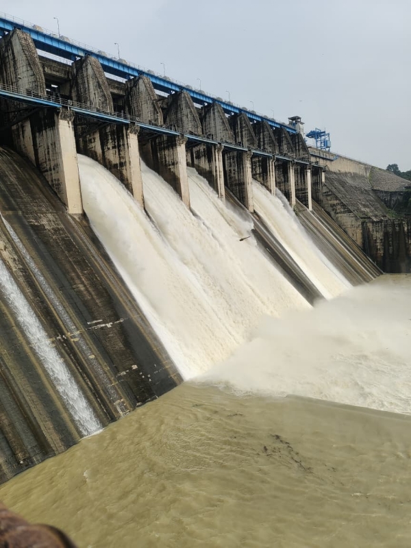 कोरबा : मिनीमाता बांगो बांध में जल स्तर बढ़ने से 4 गेट खोले गए, 32420 क्यूसेक पानी हसदेव नदी में छोड़ा जा रहा है
