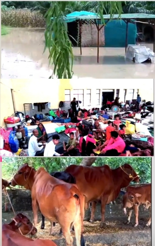गौतम बुद्ध नगर में उफान पर यमुना, डूब क्षेत्र से 20 हजार लोगों को बाहर निकाला