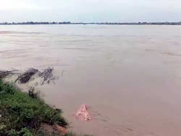 जलस्तर बढऩे के बाद रौद्र रुप में यमुना नदी