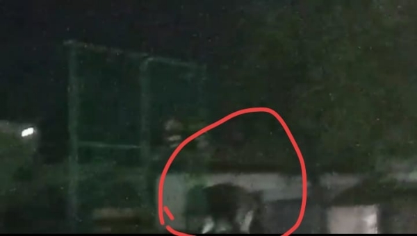नगर के बाहर निकलता