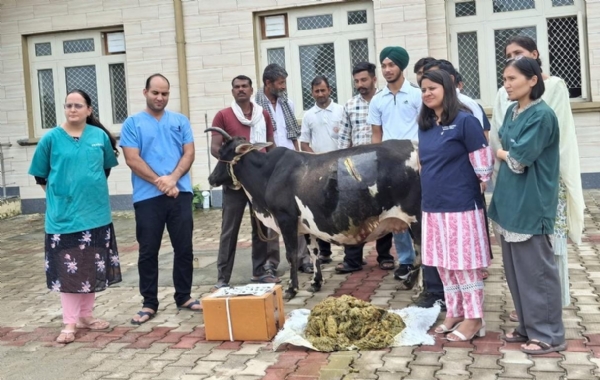 ऑपरेशन के दौरान।
