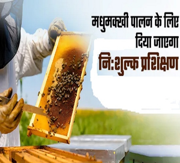 मधुमक्खी पालन से संबंधित छाया चित्र
