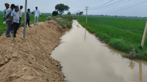 घग्घर नदी के बांध में कटाव से खेतों में भरा पानी