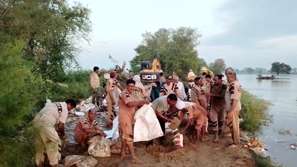 हिसार-घग्गर ड्रेन सेमनाला में आई दरार को भरते डेरा सच्चा सौदा सिरसा के सेवादार।