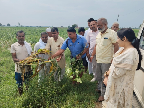 सीजेएम को खराब फसल दिखाते हुए किसान।