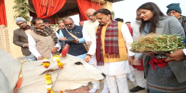 बसामन मामा गौवंश विहार में गोलोक दर्शन महोत्सव का शुभारंभ, उप मुख्यमंत्री शुक्ल ने नववर्ष पर किया गौपूजन