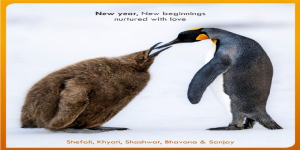 मप्र : ध्रुवीय क्षेत्रों के पक्षी’ ई-कैलेंडर का विमोचन