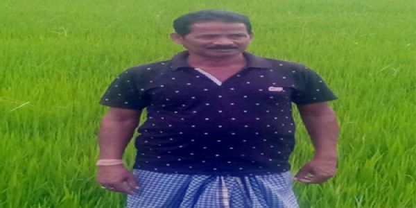 कम लागत में अधिक मुनाफा दिला रही प्राकृतिक खेती, जीवामृत, नीमास्त्र और हरी खाद से सशक्त होती मिट्टी