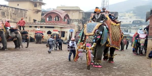 नववर्ष पर सजे-धजे हाथियों ने आमेर में किया शाही स्वागत