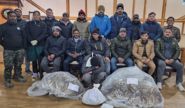 किलबरी पंगूट मार्ग पर गुलदार की दो खालों सहित वन्य जीव तस्कर गिरफ्तार