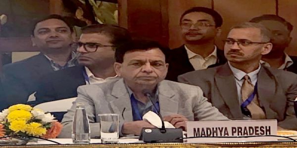 नई दिल्ली में वित्त मंत्रियों के साथ प्री-बजट मीटिंग में मप्र के उप मुख्यमंत्री