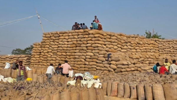 धान खरीदी त्यौहार