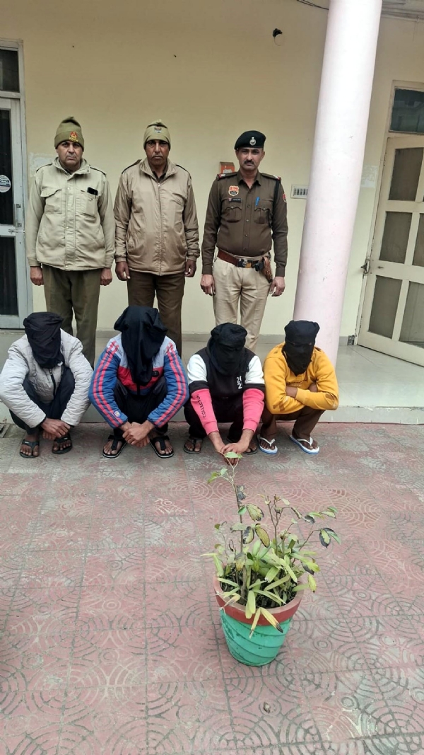 भट्टूकलां। फायरिंग मामले में गिरफ्तार चारों युवक।