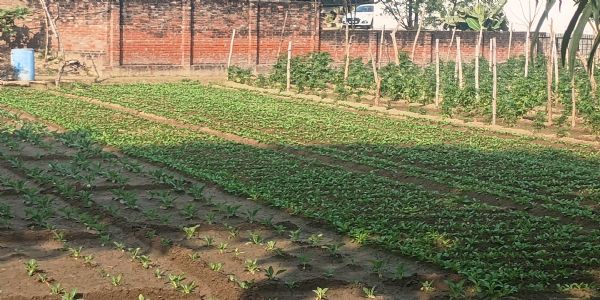 मौसम ने ली करवट खिली धूप लोगो ने ली राहत की सांस