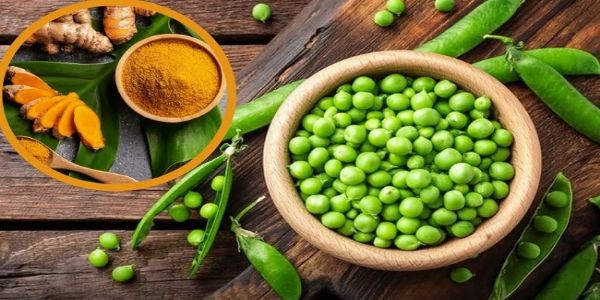 जबलपुर में आज होगा मटर महोत्‍सव का आयोजन