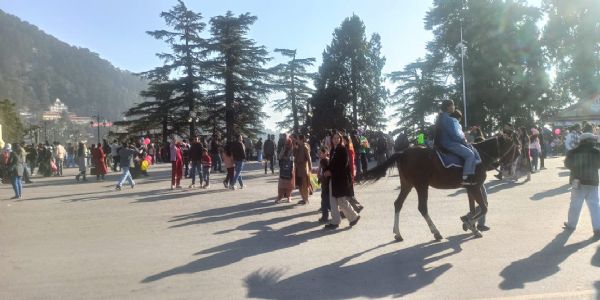 हिमाचल में 16 से 19 जनवरी तक बारिश-बर्फबारी का अनुमान, खत्म होगा तीन माह का ड्राई स्पैल