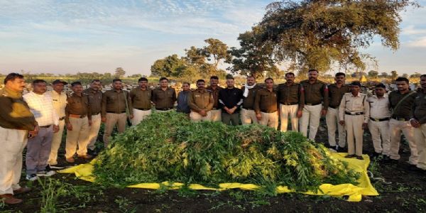 मप्र पुलिस की अवैध मादक पदार्थ पर बड़ी कार्रवाई, पांच दिन में 2.17 करोड़ से अधिक की सामग्री जब्त