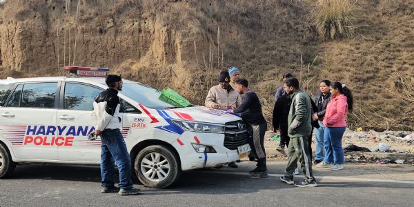 राेहतक: सुनारियां गांव के पास दो दर्जन से अधिक मृत मिले स्ट्रीट डॉग, पशु प्रेमियों में भारी रोष