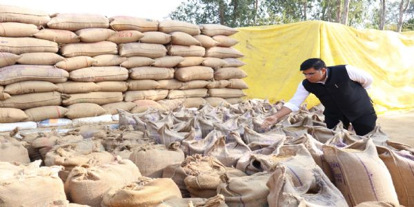 कोरबा में धान खरीद व्यवस्था का कलेक्टर ने किया औचक निरीक्षण, अव्यवस्थाओं पर सख्त कार्रवाई