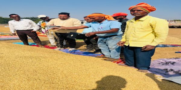 धान उपार्जन में लापरवाही, महिला खाद्य निरीक्षक मगरलोड निलंबित