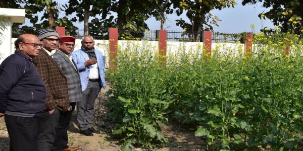 वैज्ञानिक तकनीक को जमीनी स्तर पर पहुंचाने के लिए केवीके बेहतर विकल्प : निदेशक