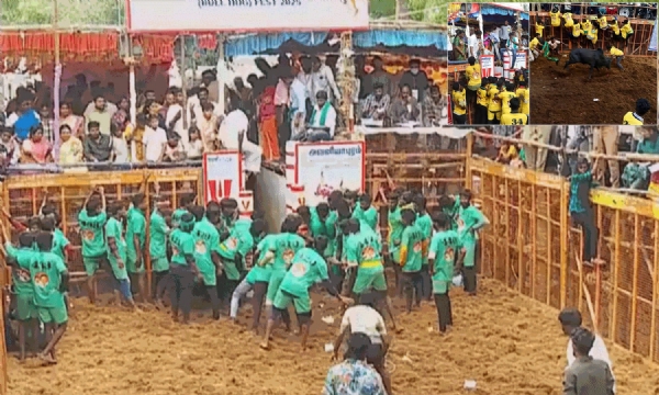 जल्लीकट्टू