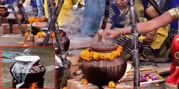 पूरे तमिलनाडु में बिखरी पोंगल की खुशियां, हर्षोल्लास के साथ मना रहे त्योहार